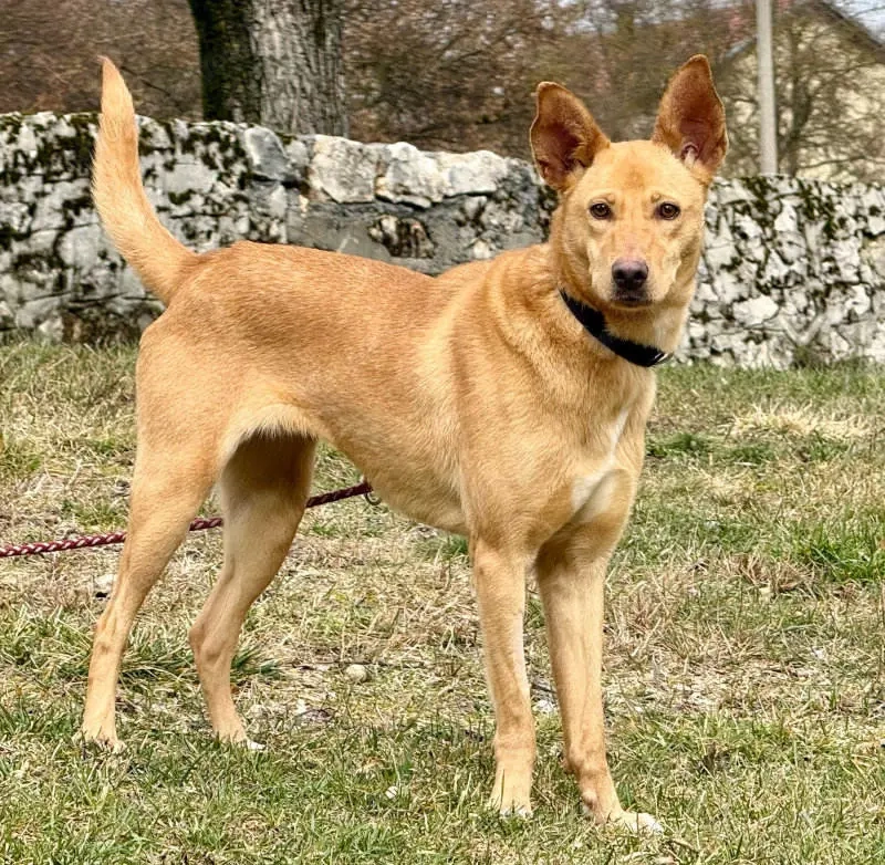 Ella sucht IHRE Familie