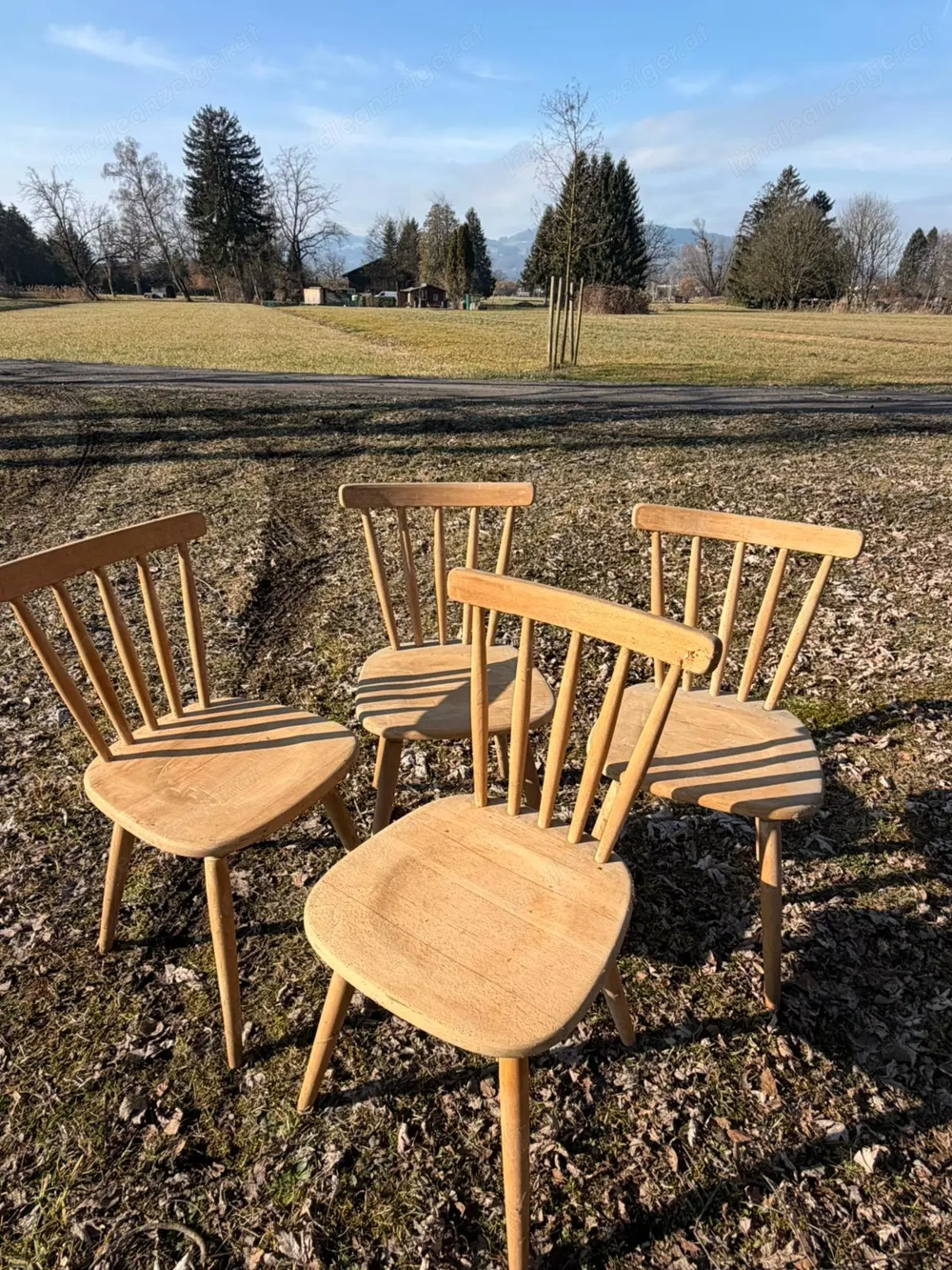 alte Holzstühle zu verkaufen