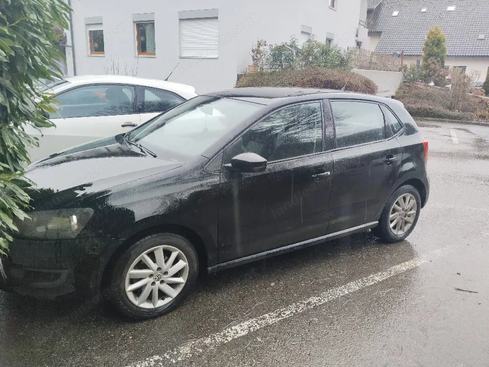 polo zu verkaufen