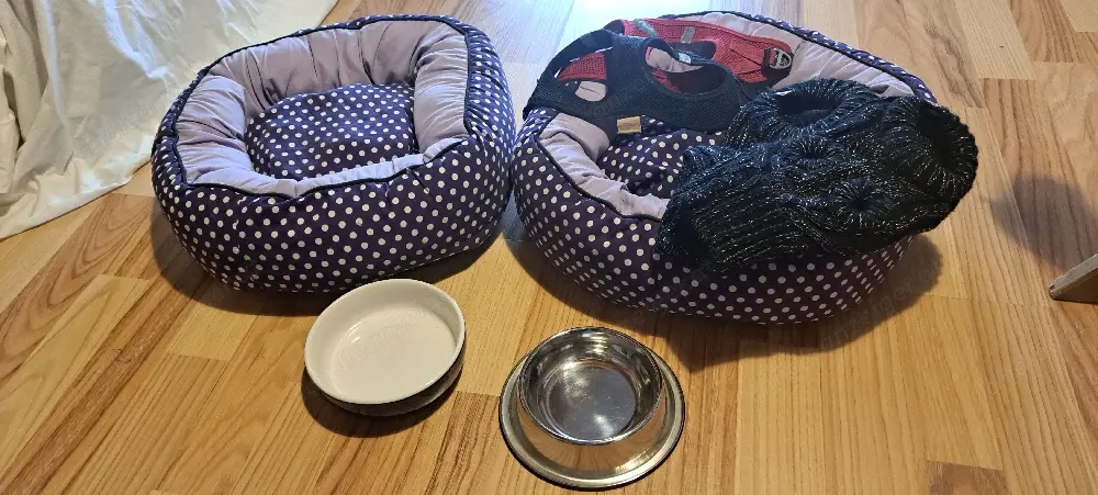 Set für kleine Hunde