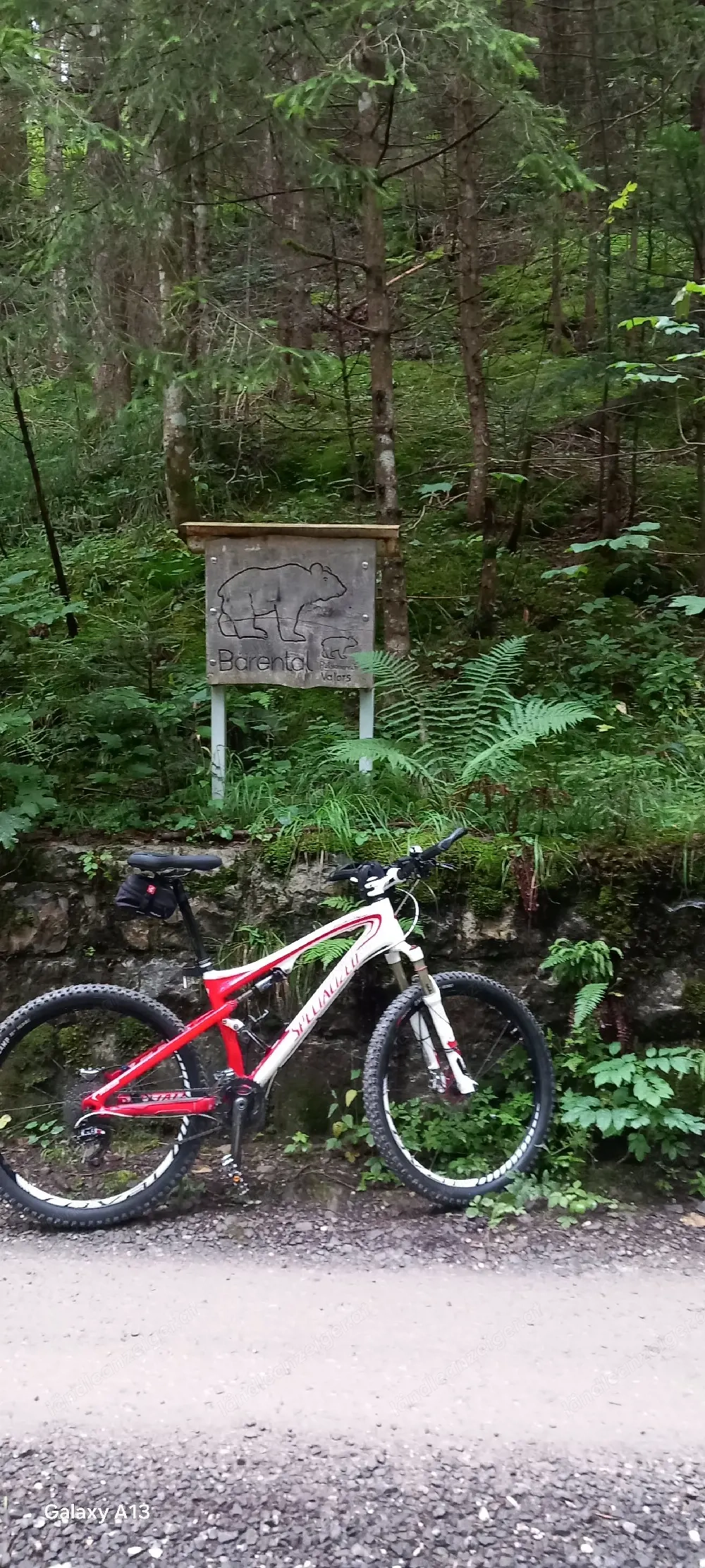 Mountainbike 