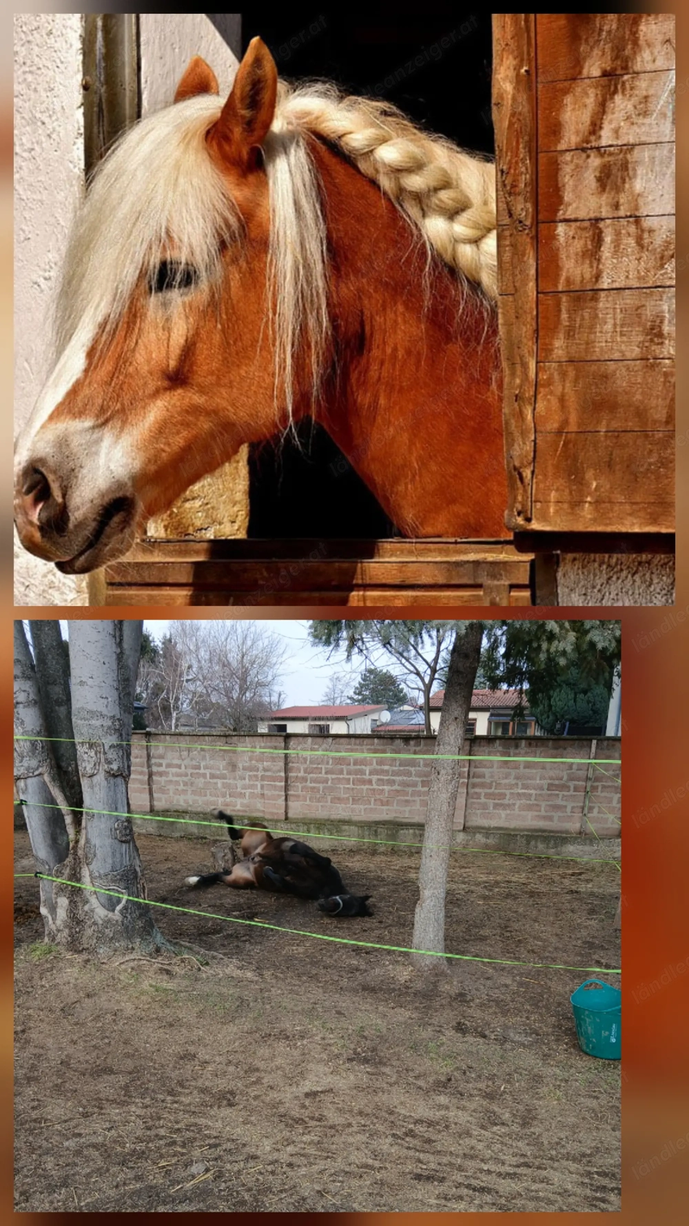 Freier Einstellplatz