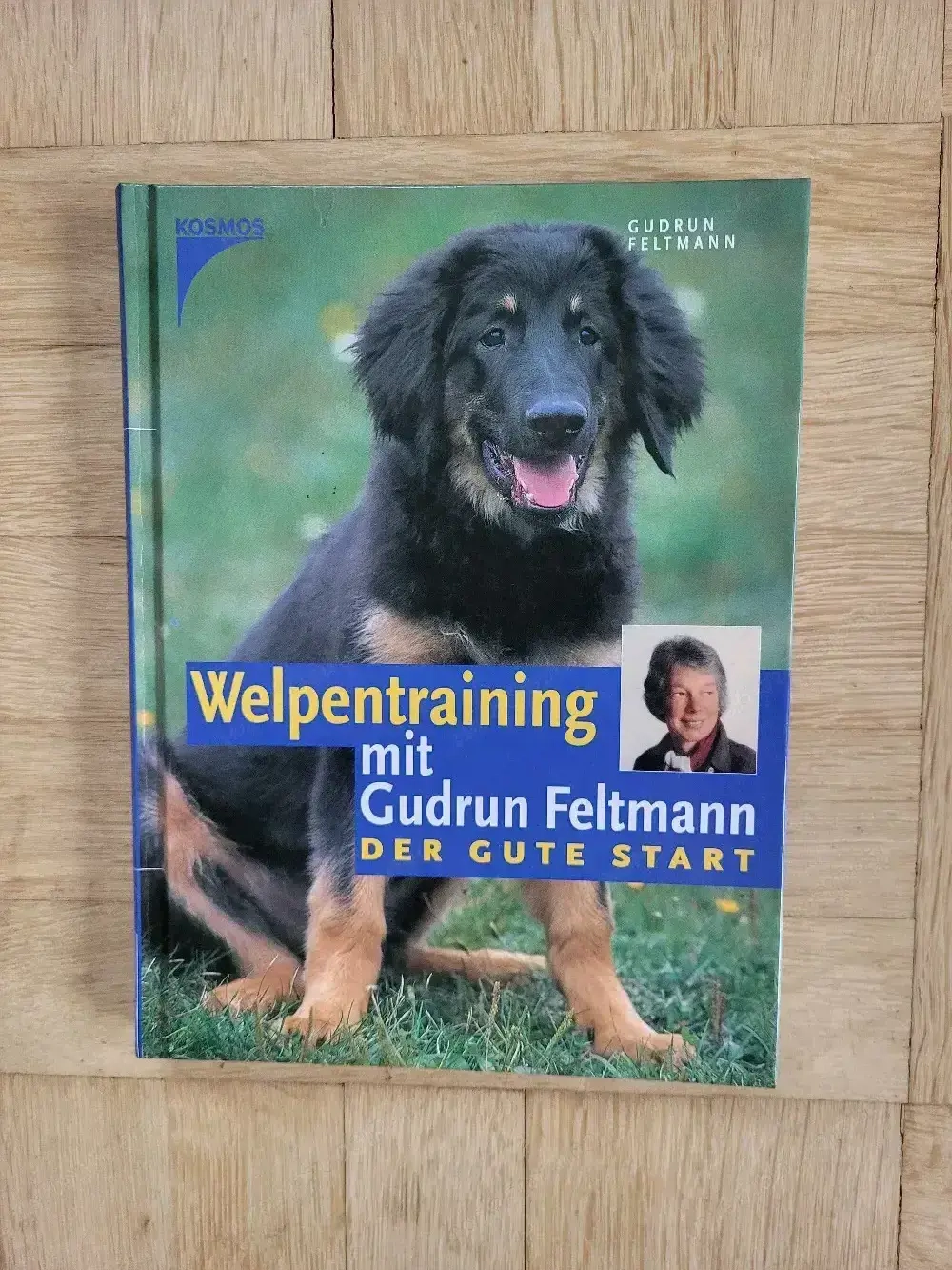 Zwei tolle lehrreiche Hundebücher 