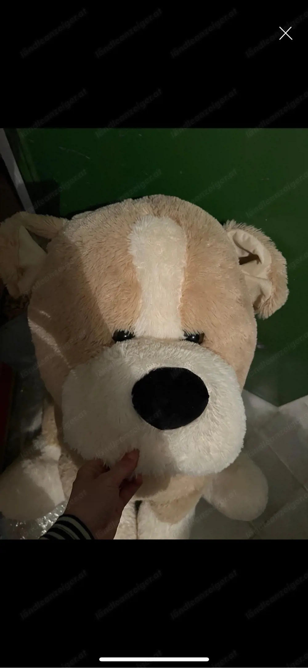 xxl kuscheltier zu verschenken