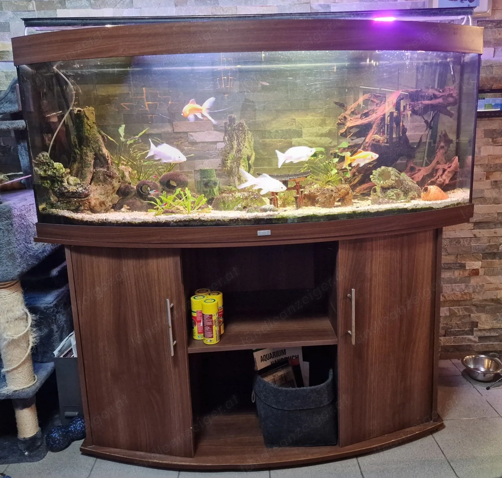 Aquarium Juwel 450 Liter 