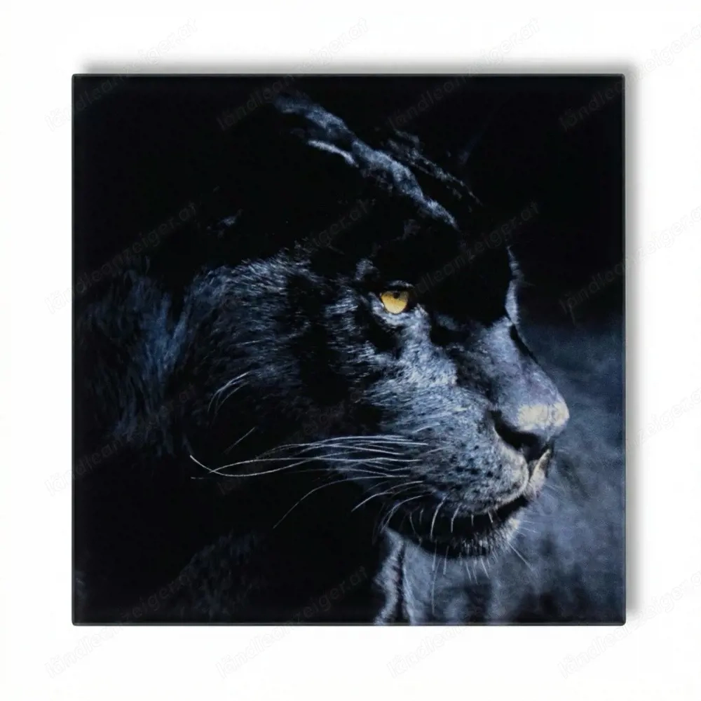Wandbild Panther