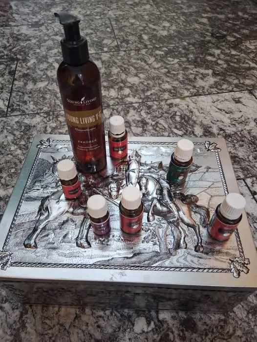 Aromaölanwenderkurs