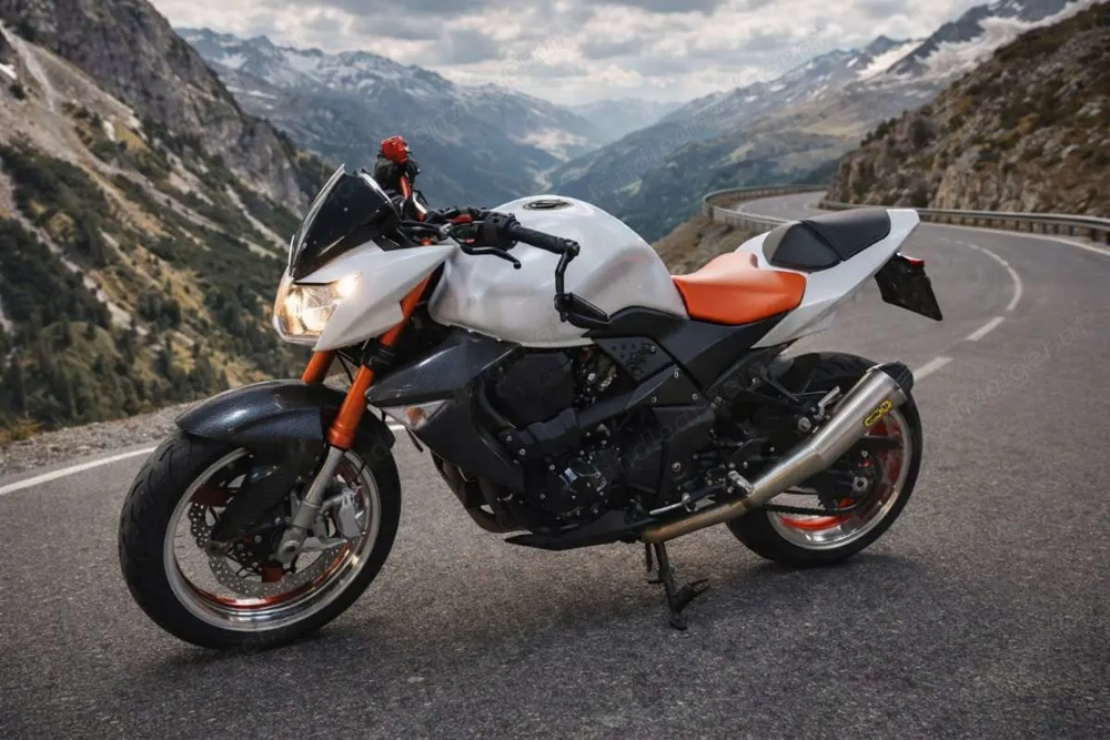 Kawasaki Z 1000 Naked Bike