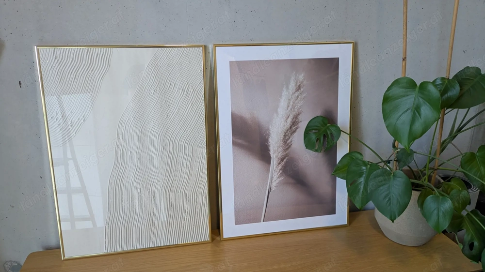 Goldene Bilderrahmen 2 Stk mit Poster