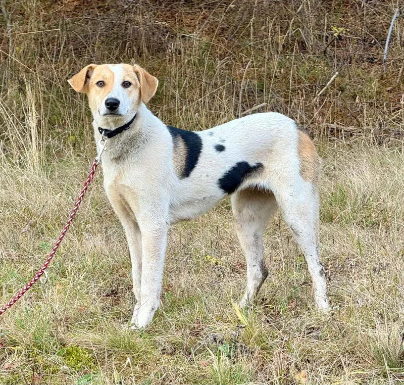 Suzana wartet auf IHRE Menschen