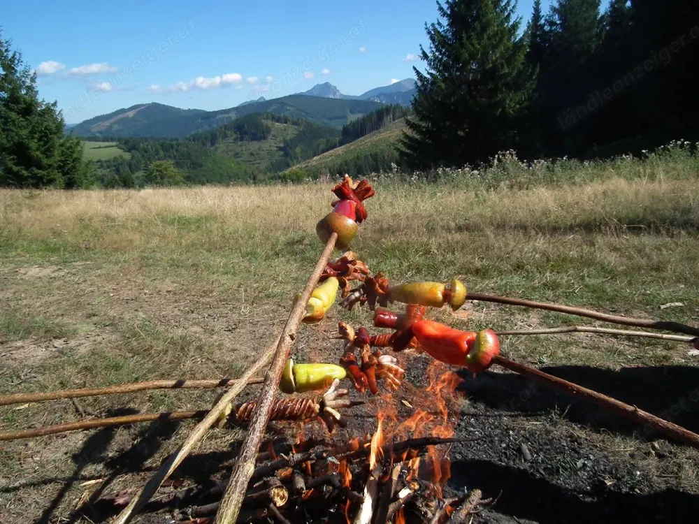 Verkaufe Brennholz