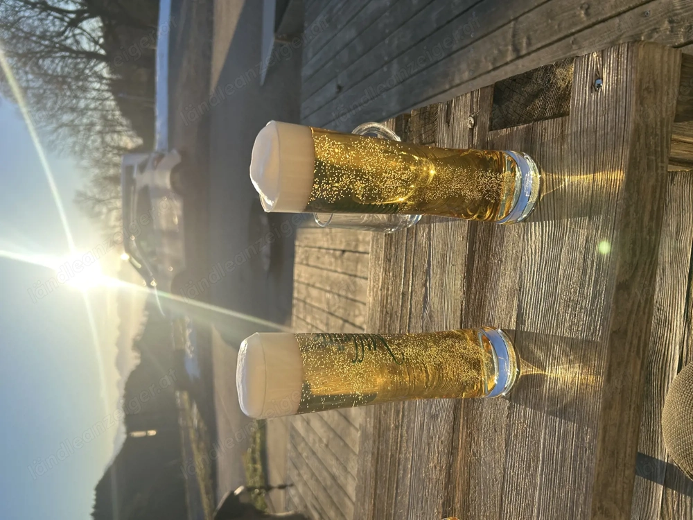 Alu Felgen 17  für VW Bus T5;T6; Amarok