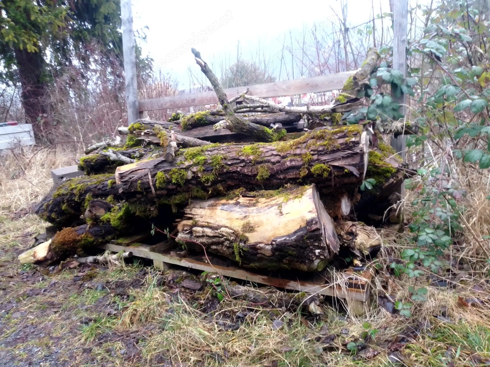 Brennholz zu verschenken