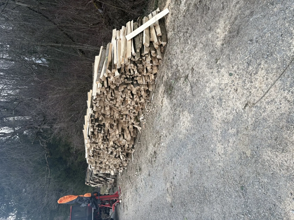 Brennholz Hart oder Weich 