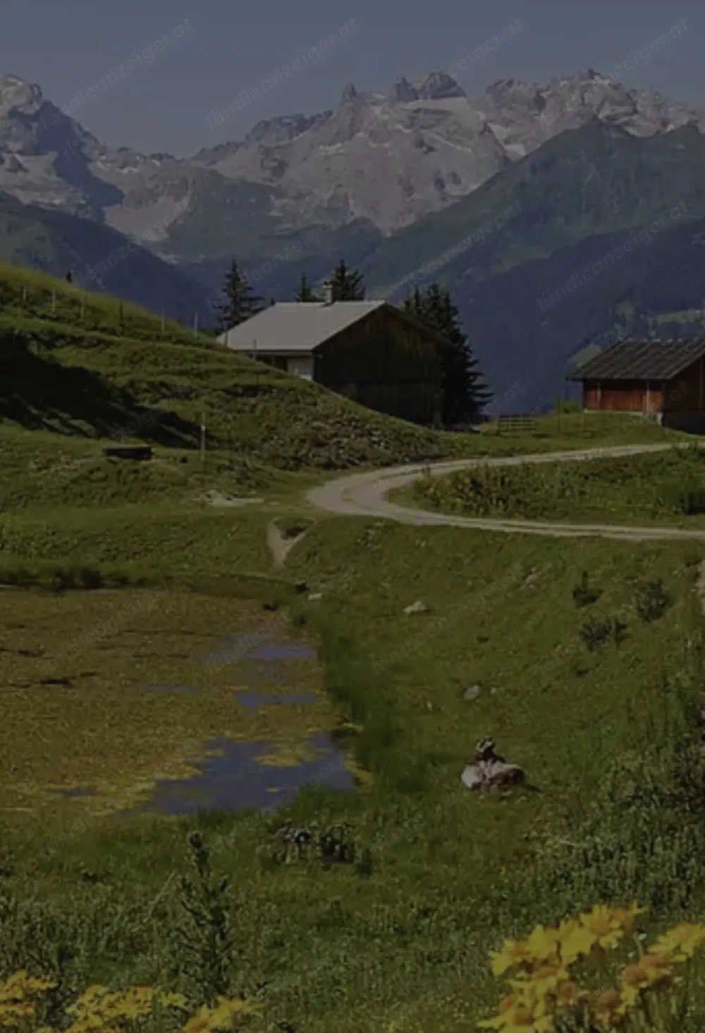  Suche Maisäßhaus am Kristberg   Bartholomäberg  