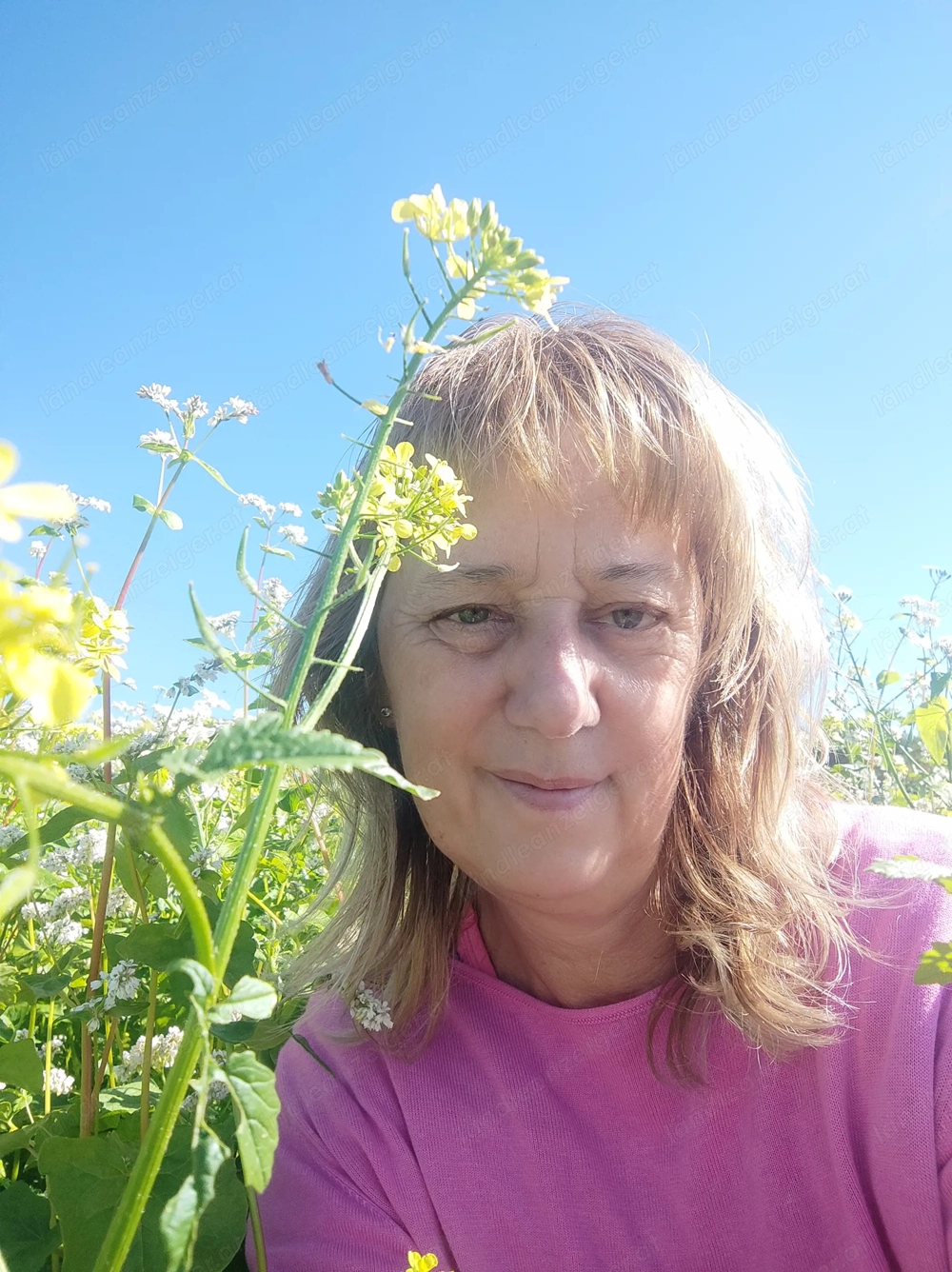 Wer suchet der findet