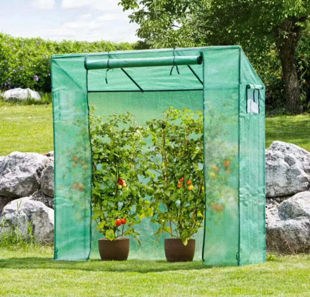 Tomatengewächshaus Windhager