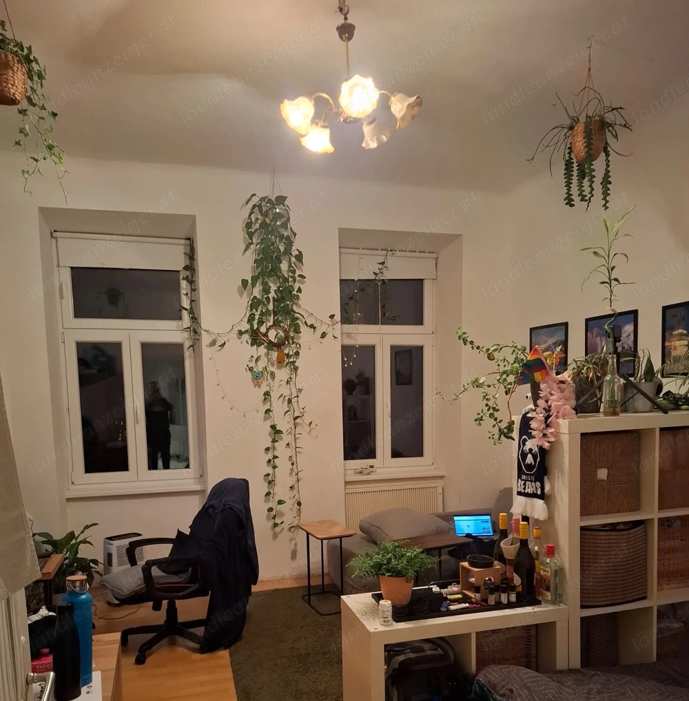 Sonnige Altbau-Garcionere für Singels oder Studenten, Wertanlage