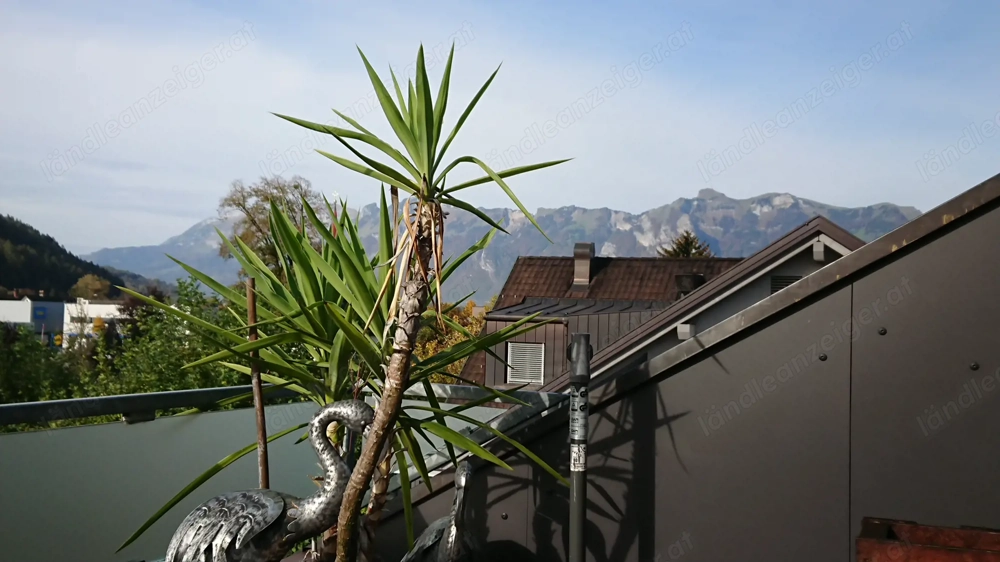 PROVISIONSFREIE 3-Zimmer-Dachgeschosswohnung in Feldkirch-Altenstadt inkl. Tiefgarage