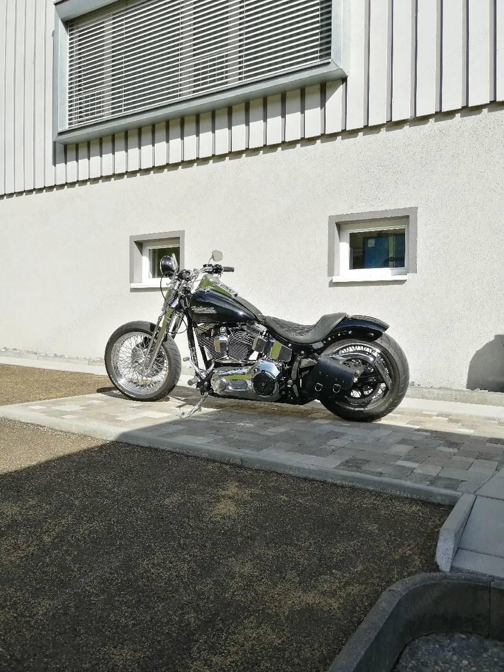 HD Softail Springer