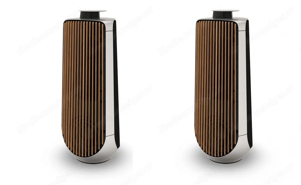 B&O (Bang & Olufsen) BeoLab 50