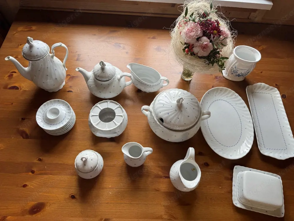 Seltmann Weiden REGINA   Vintage Porzellan   18-teilig   Bavaria   W. Germany