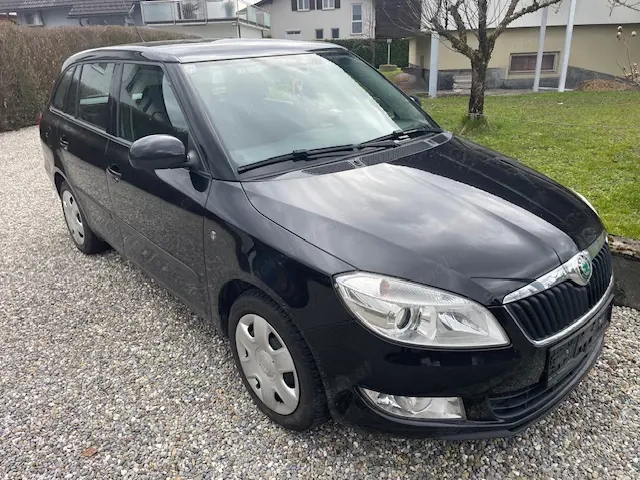 Skoda Fabia II   1,6 Diesel  90 PS