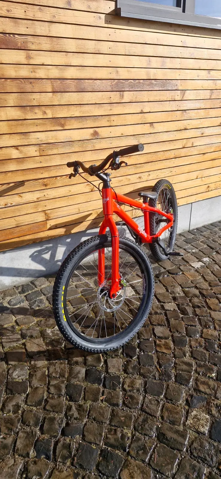 Inspired Flow 24" Bike