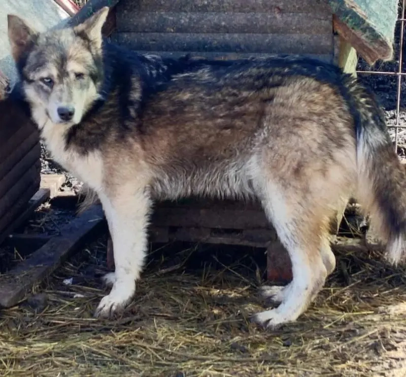 Malena freut sich auf IHRE Menschen