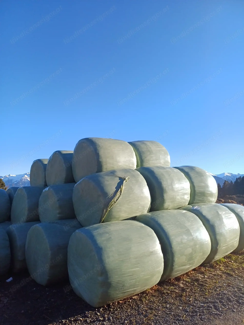 Siloballen zu verkaufen 