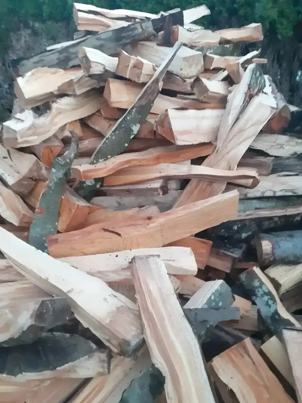 Brennholz Hartholz halbtrocken 