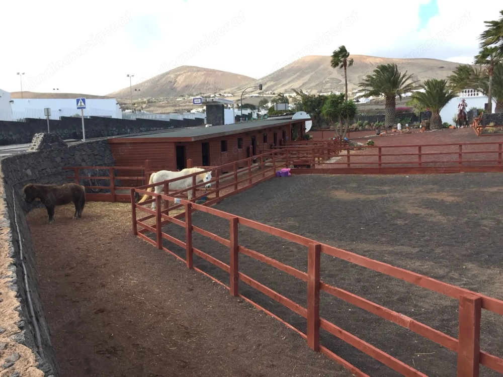 Hallo, suche Einstellplatz für ein Pferd