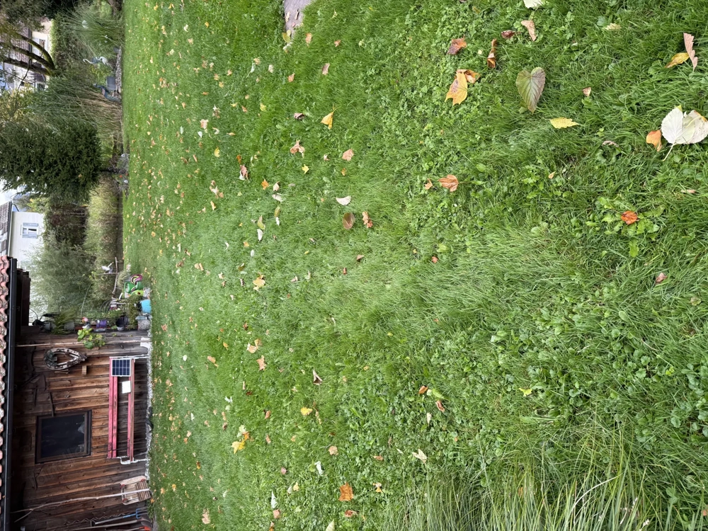 Tausche 100 m 2 Wohnung in Hard , gegen Wohnung in Wien 2 oder 22 Bezirk 