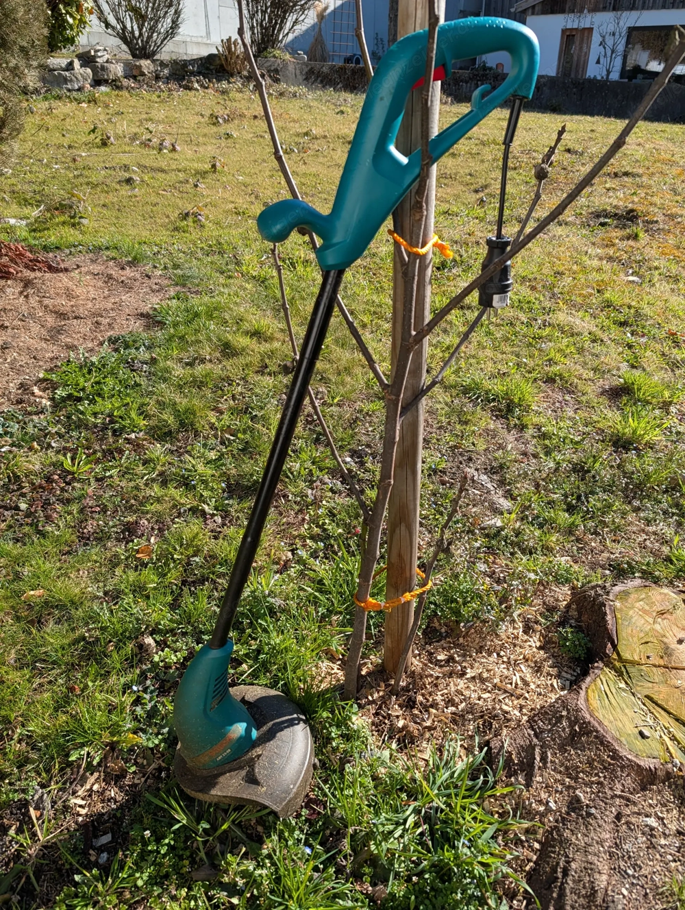 Rasentrimmer Bosch (elektrisch)