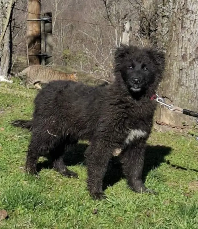 Nero wartet sehnsüchtig auf SIE