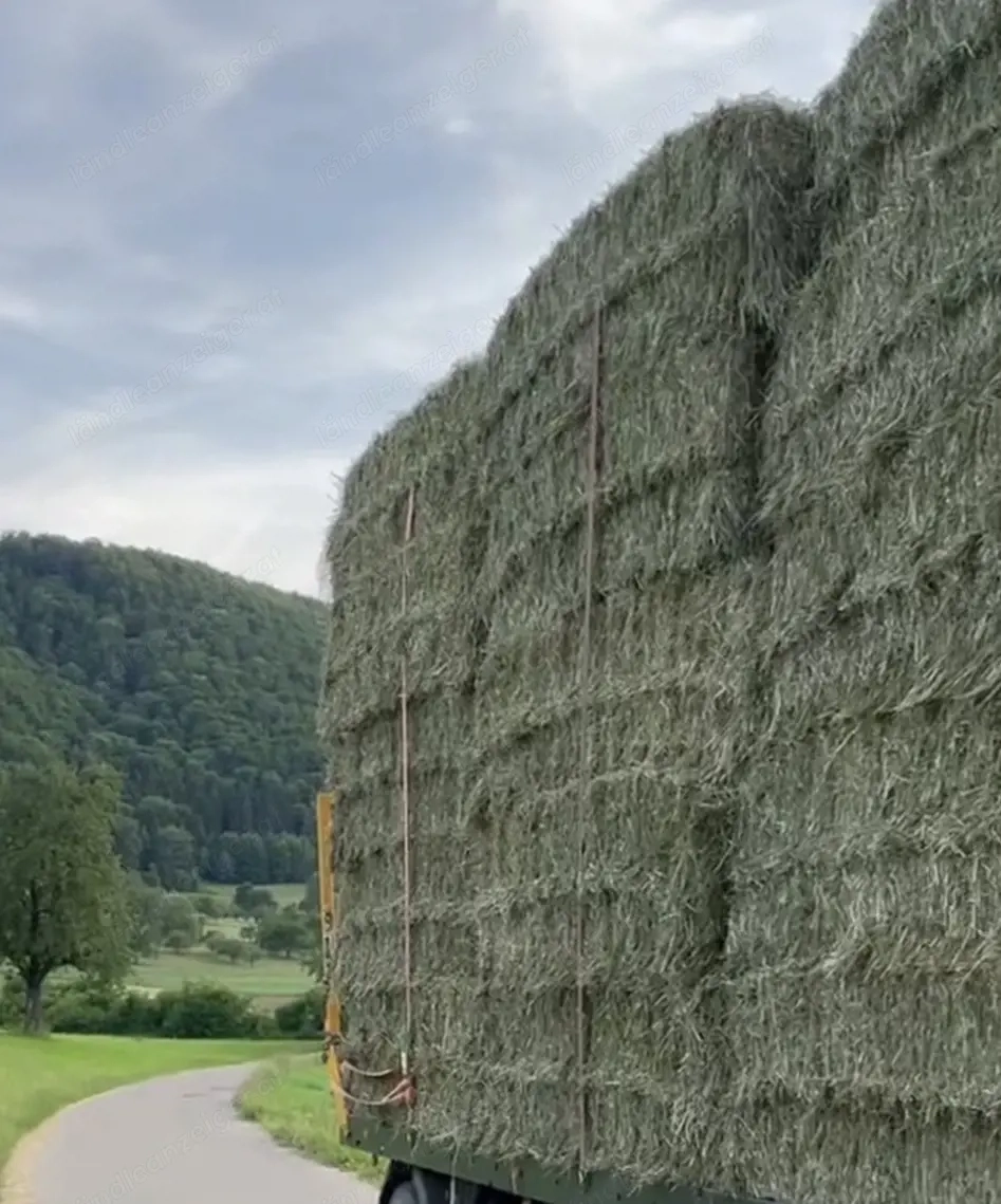 Lüfter - Heu zu verkaufen 