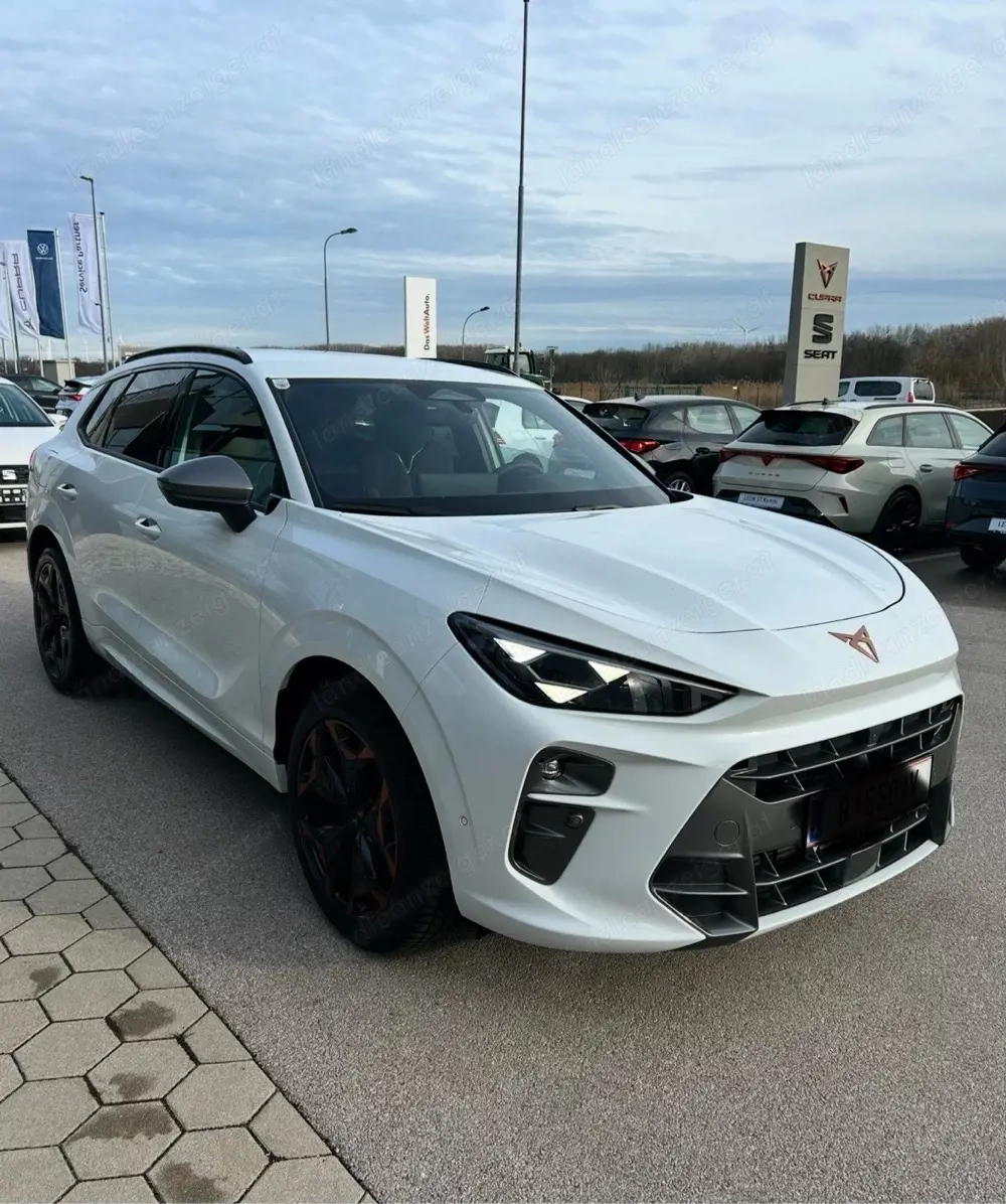 Cupra Terramar