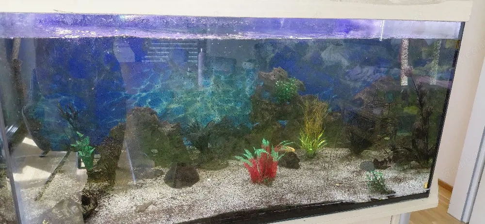 Aquarium 650 Liter zu verschenken