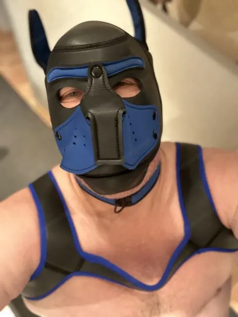 Suche versautes Bi Paar oder Gay Paar 