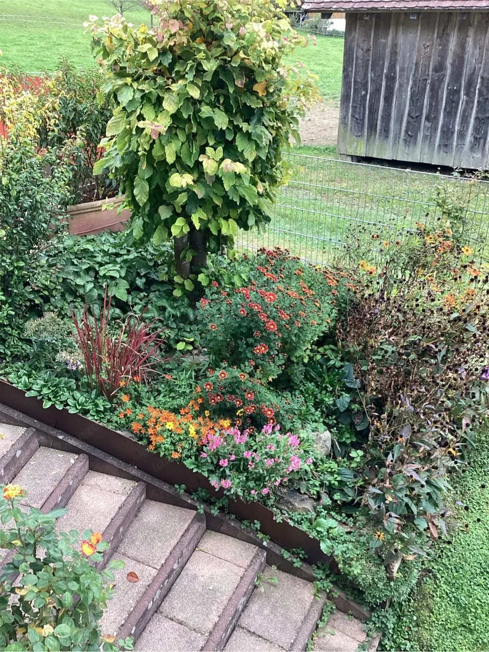 Gartenarbeit zu vergeben