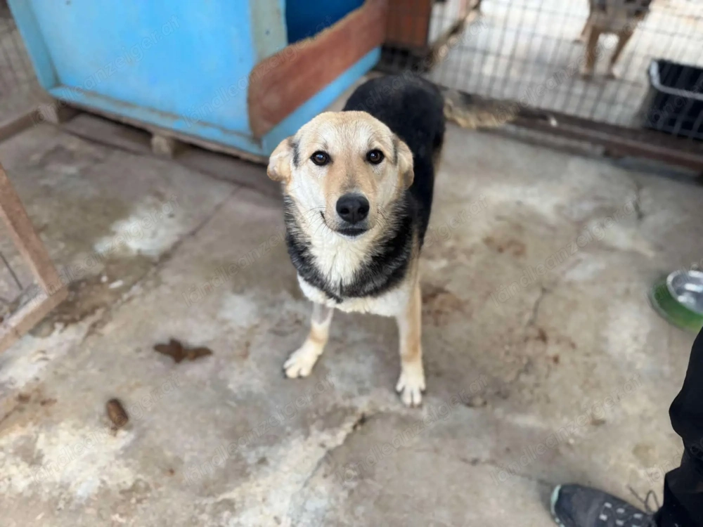 Ella möchte die Welt mir ihren Herzensmenschen entdecken