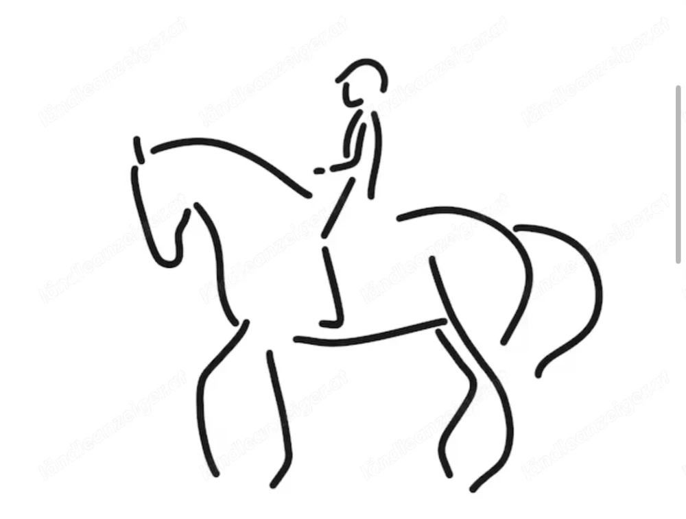 Offenstall gesucht für Stute