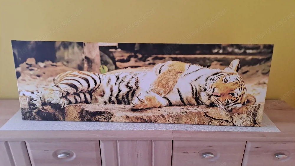 Bild Größe 120x40 zu verschenken 