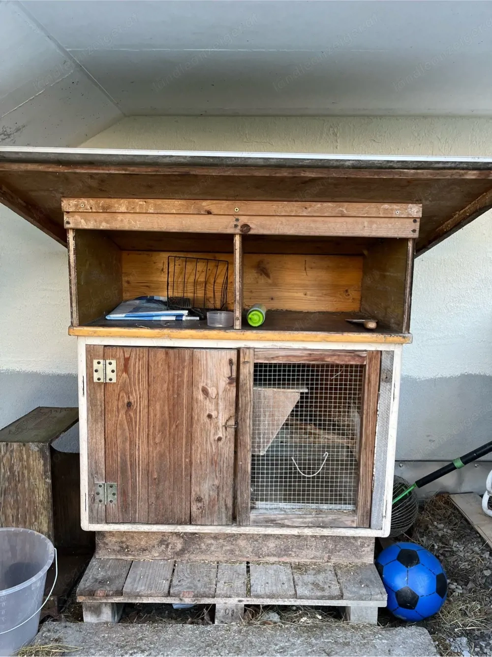 Meerschweinchen Stall