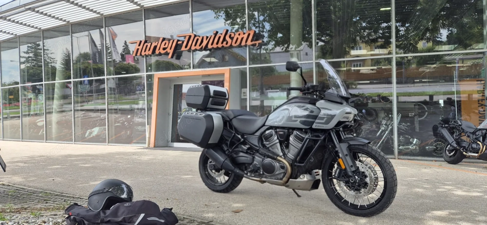 Hammerpreis: Pan American 1250 spezial BJ 2025