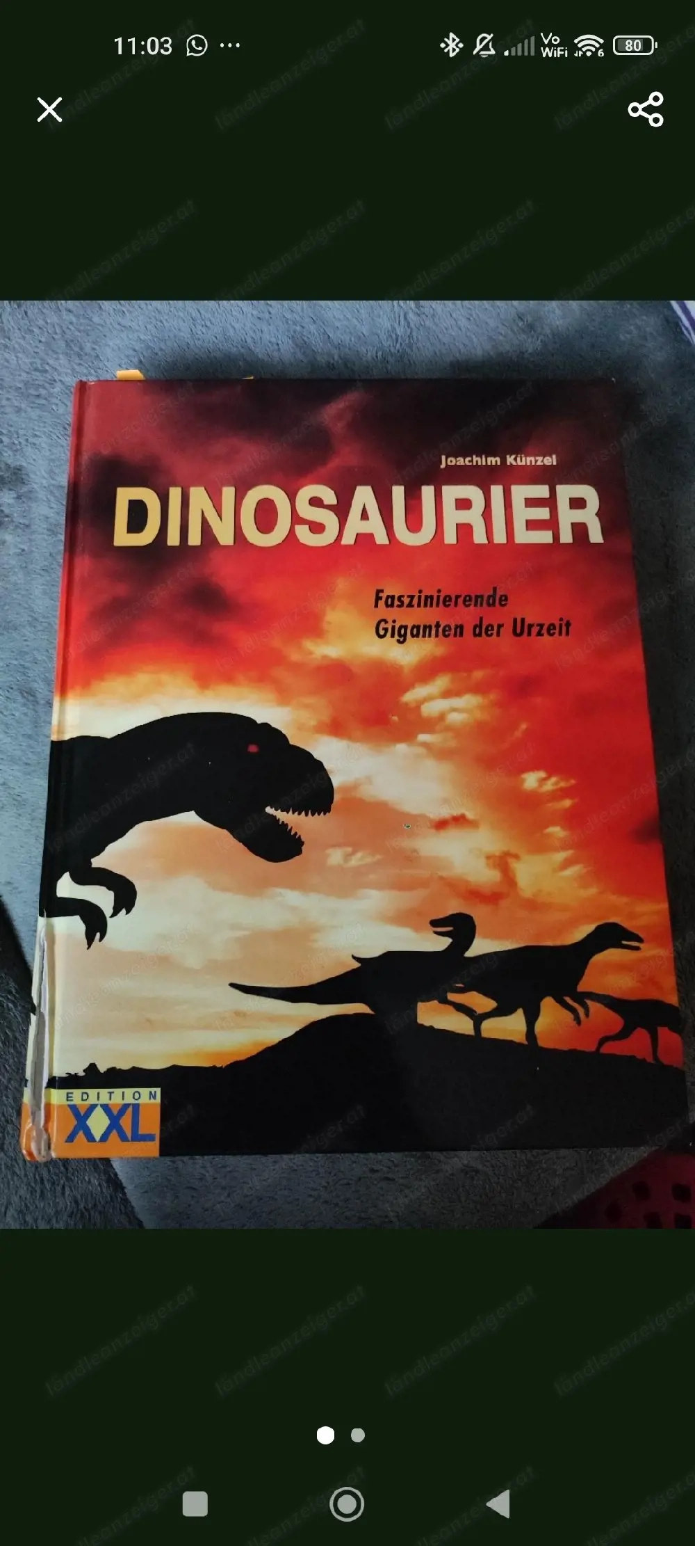 Dinosaurier Buch 