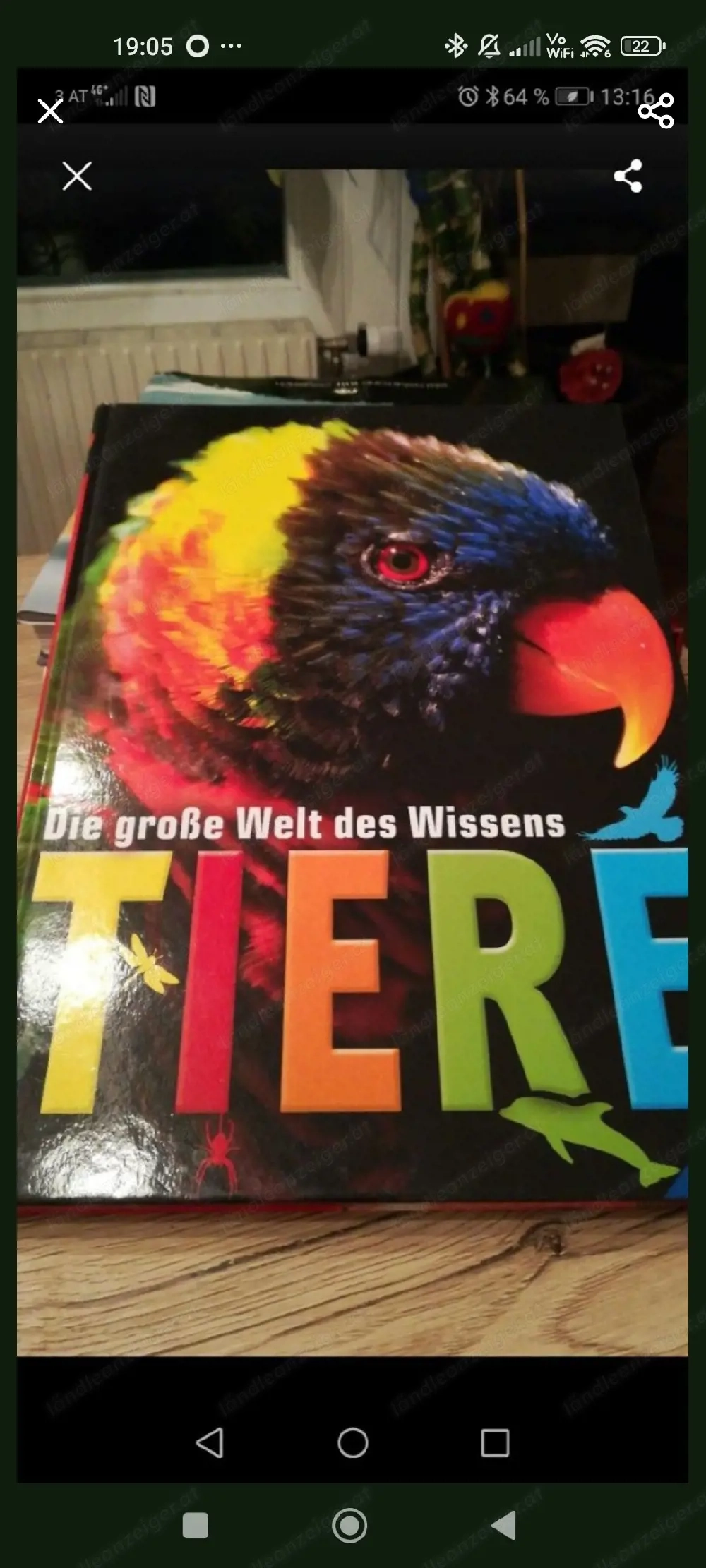 Tiere aus aller Welt 