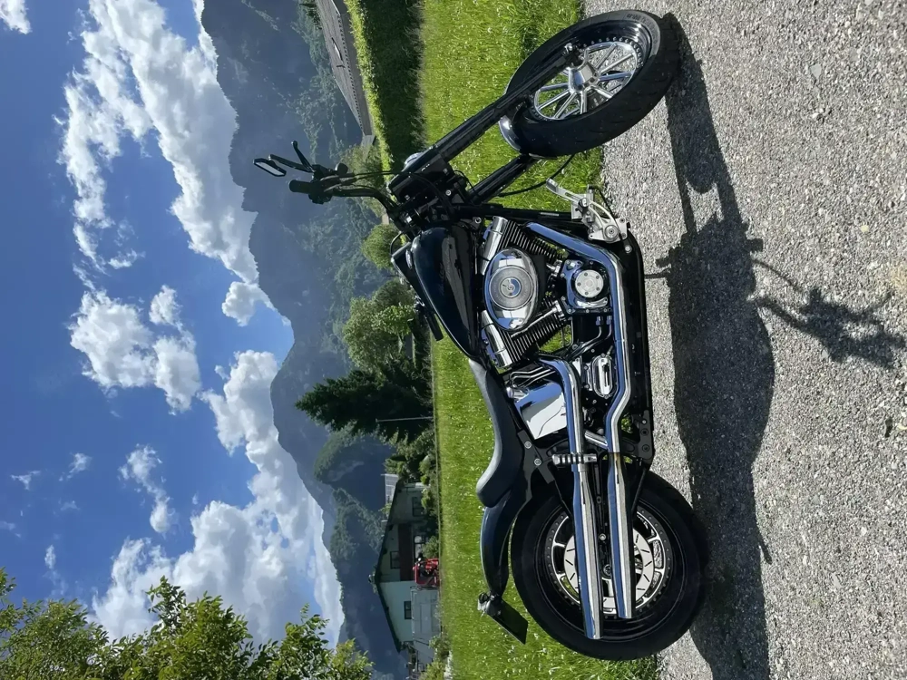 Harley-Davidson Softail FLSTCI Chopper   Cruiser