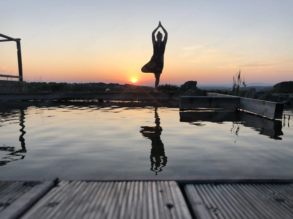 Gästepension mit Alm im Südburgenland 