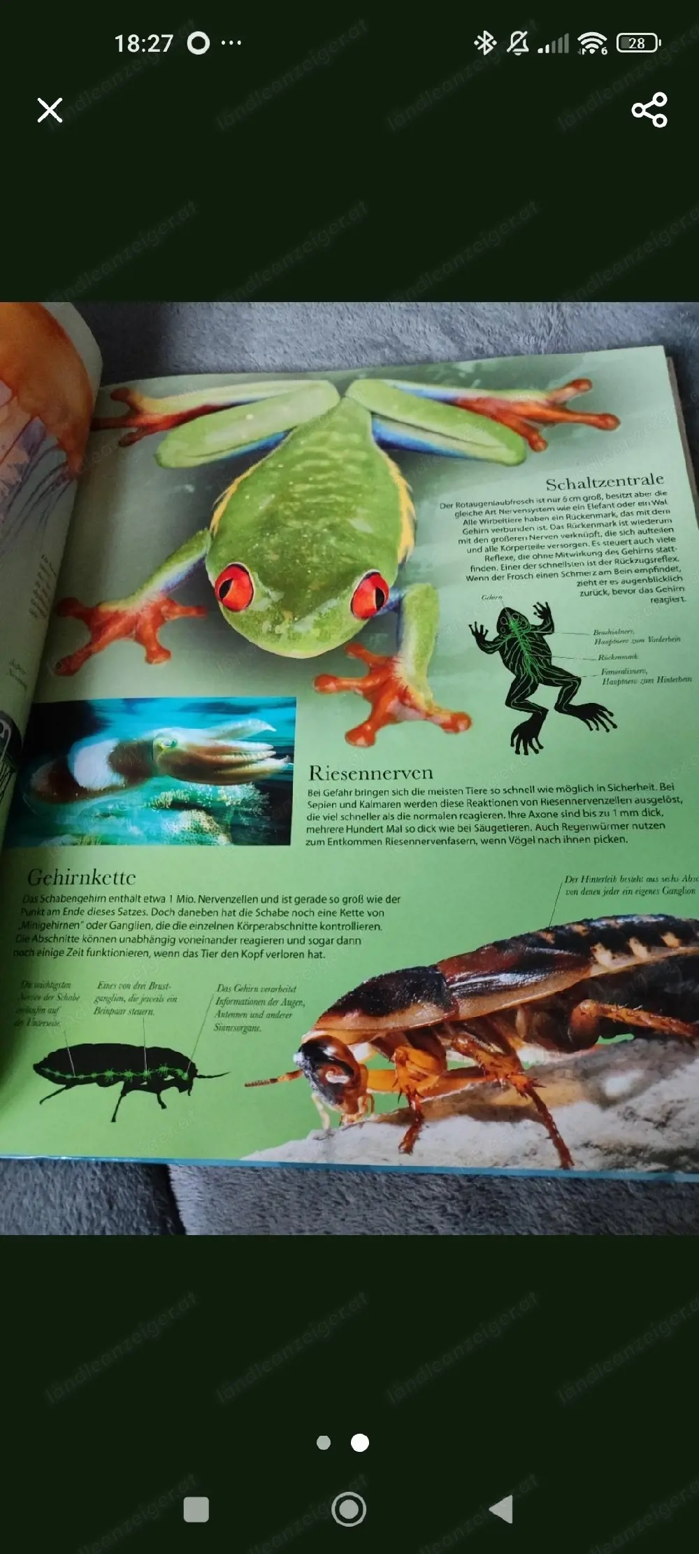 Buch uber die Tierwelt 